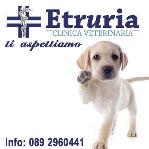 veterinario pontecagnano|Clinica Veterinaria Etruria